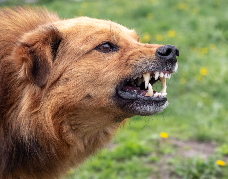 Aggression - Release inner tension 