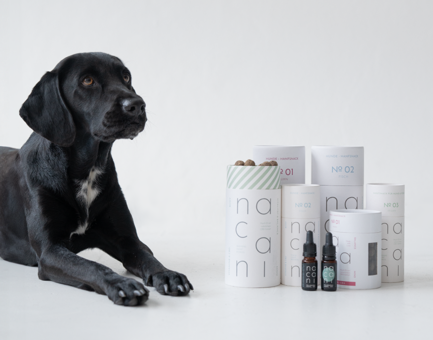 CBD Sets - best of all worlds - ideal zum Ausprobieren