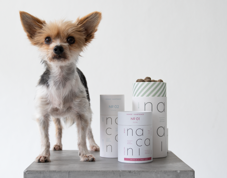 CBD Snacks - Gut für Körper, Geist und Seele