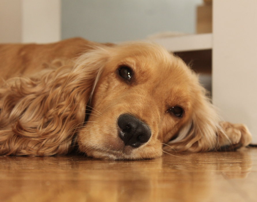 Hormonhaushalt - Mehr Stabilität und Gleichgewicht 