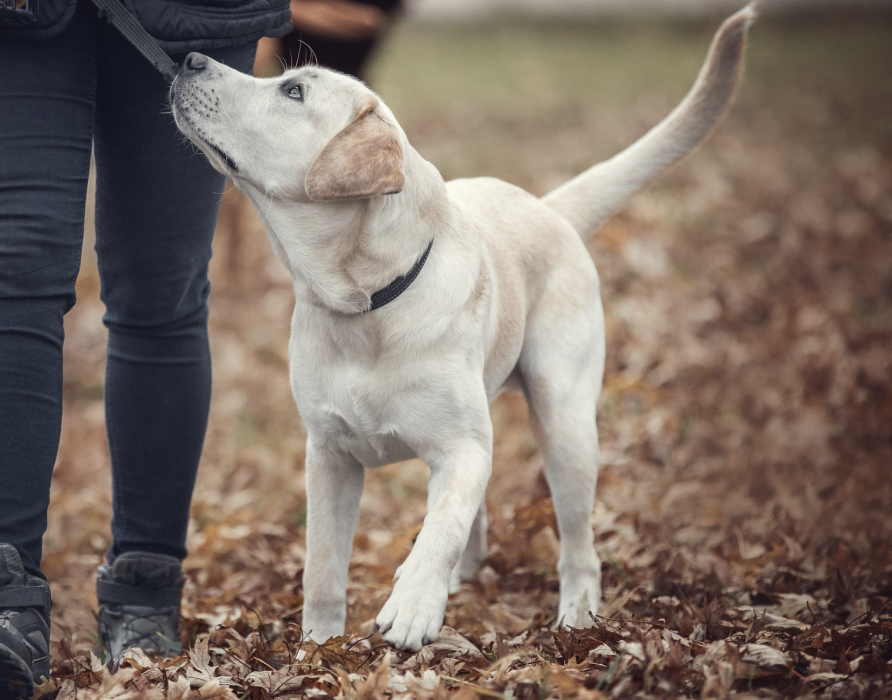 Konzentration - Voller Fokus auf das Wesentliche