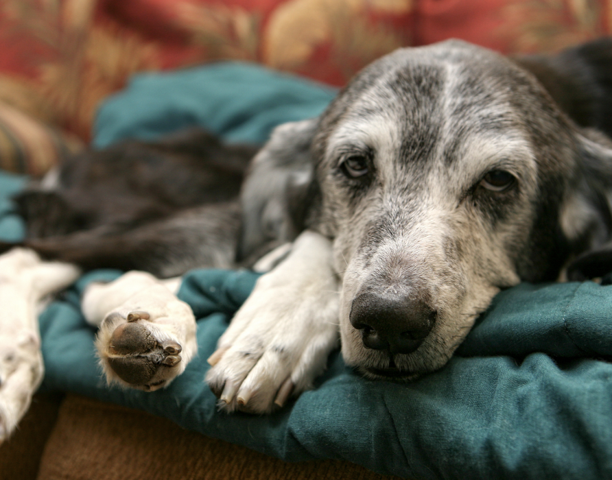 Convalescence - back to usual strengths