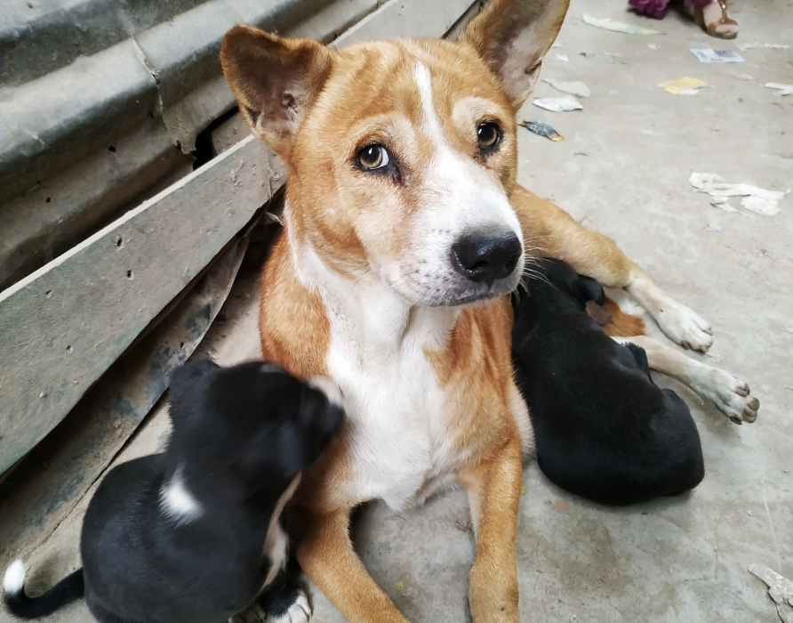 Trauma - relaxation for the wounded soul