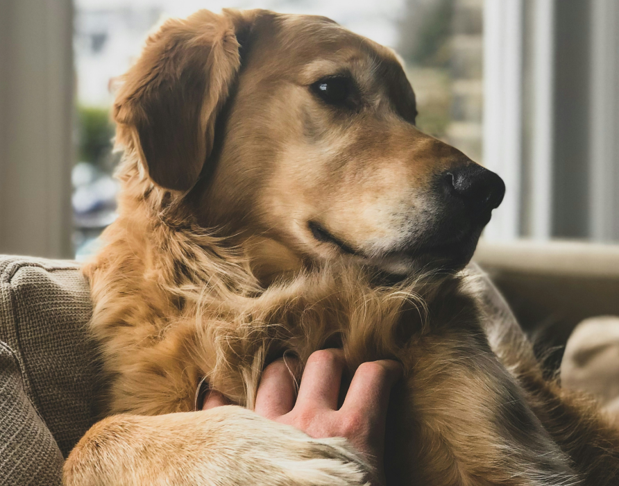 Helps with - Mental and physical problems