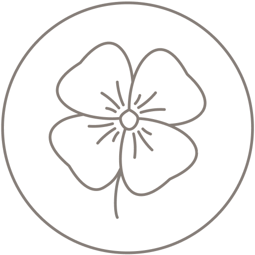 Stiefmütterchen-kraut