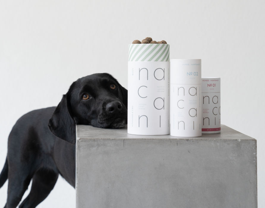 Neuheiten - Neu im nacani Sortiment